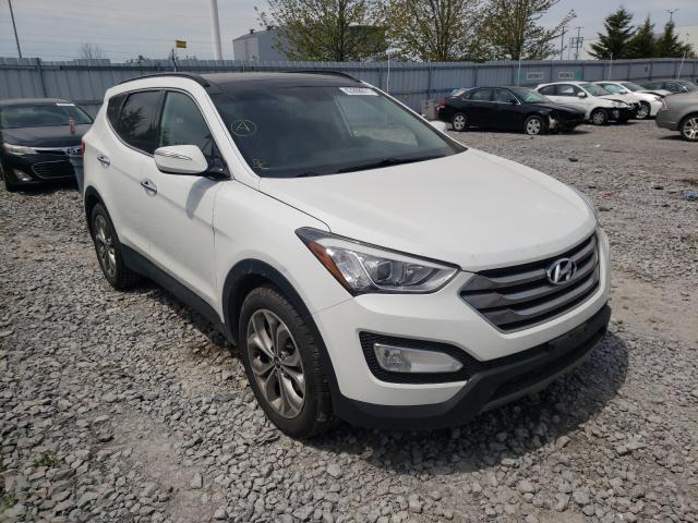 Photo 0 VIN: 5XYZUDLA9GG331221 - HYUNDAI SANTA FE S 