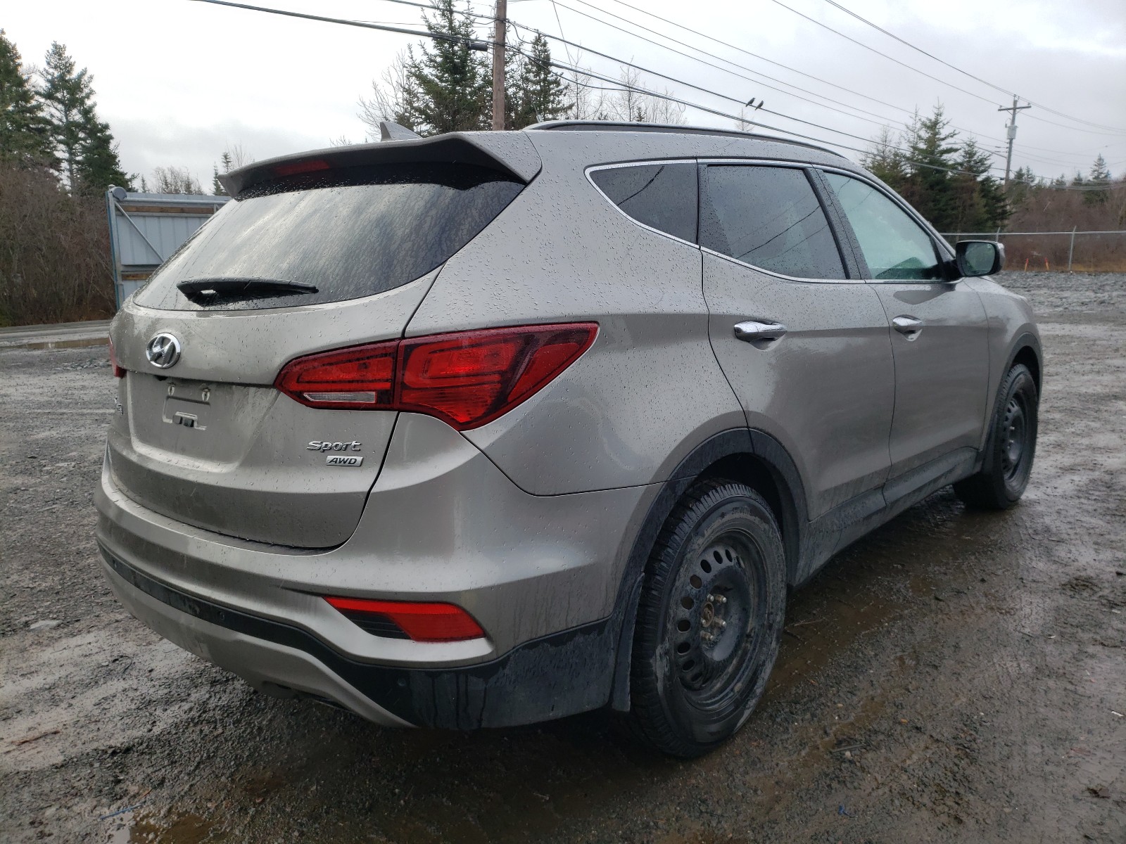 Photo 3 VIN: 5XYZUDLB1HG450813 - HYUNDAI SANTA FE S 