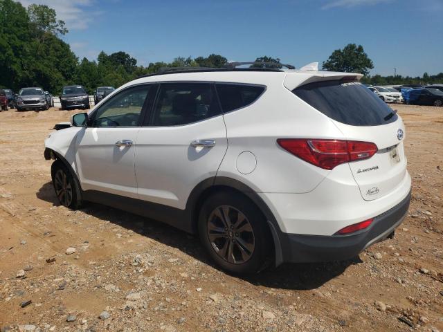 Photo 1 VIN: 5XYZUDLB2EG208799 - HYUNDAI SANTA FE S 