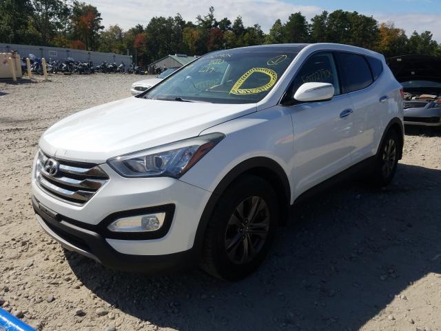 Photo 1 VIN: 5XYZUDLB4DG090995 - HYUNDAI SANTA FE S 