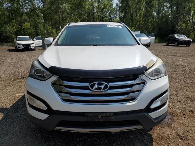 Photo 4 VIN: 5XYZUDLB4EG141316 - HYUNDAI SANTA FE S 