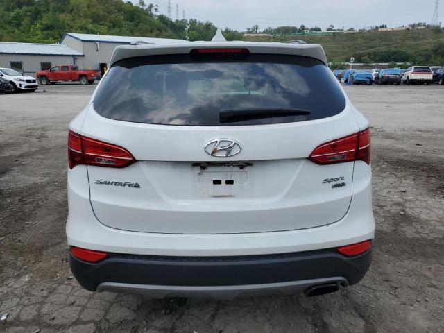 Photo 5 VIN: 5XYZUDLB7EG229261 - HYUNDAI SANTA FE 