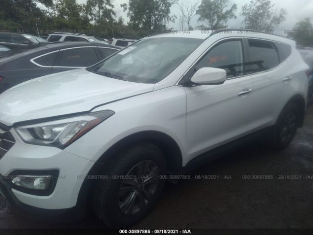 Photo 1 VIN: 5XYZUDLB7GG339066 - HYUNDAI SANTA FE SPORT 