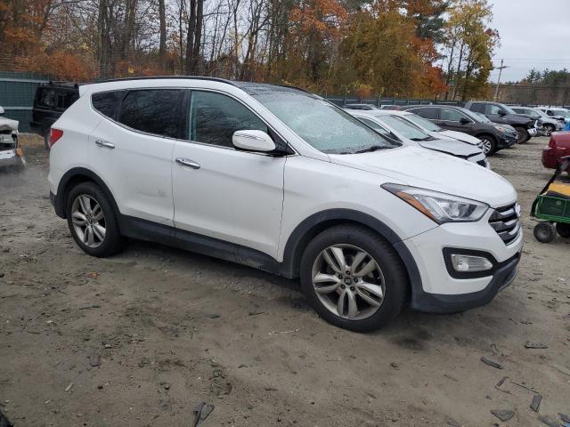 Photo 3 VIN: 5XYZWDLA5EG218132 - HYUNDAI SANTA FE S 