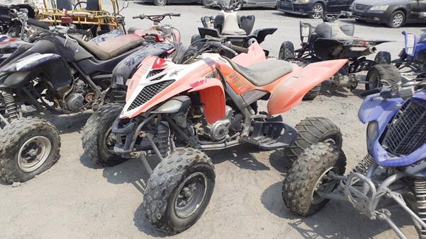 Photo 3 VIN: 5Y4AM44Y3EA101753 - YAMAHA RAPTOR 