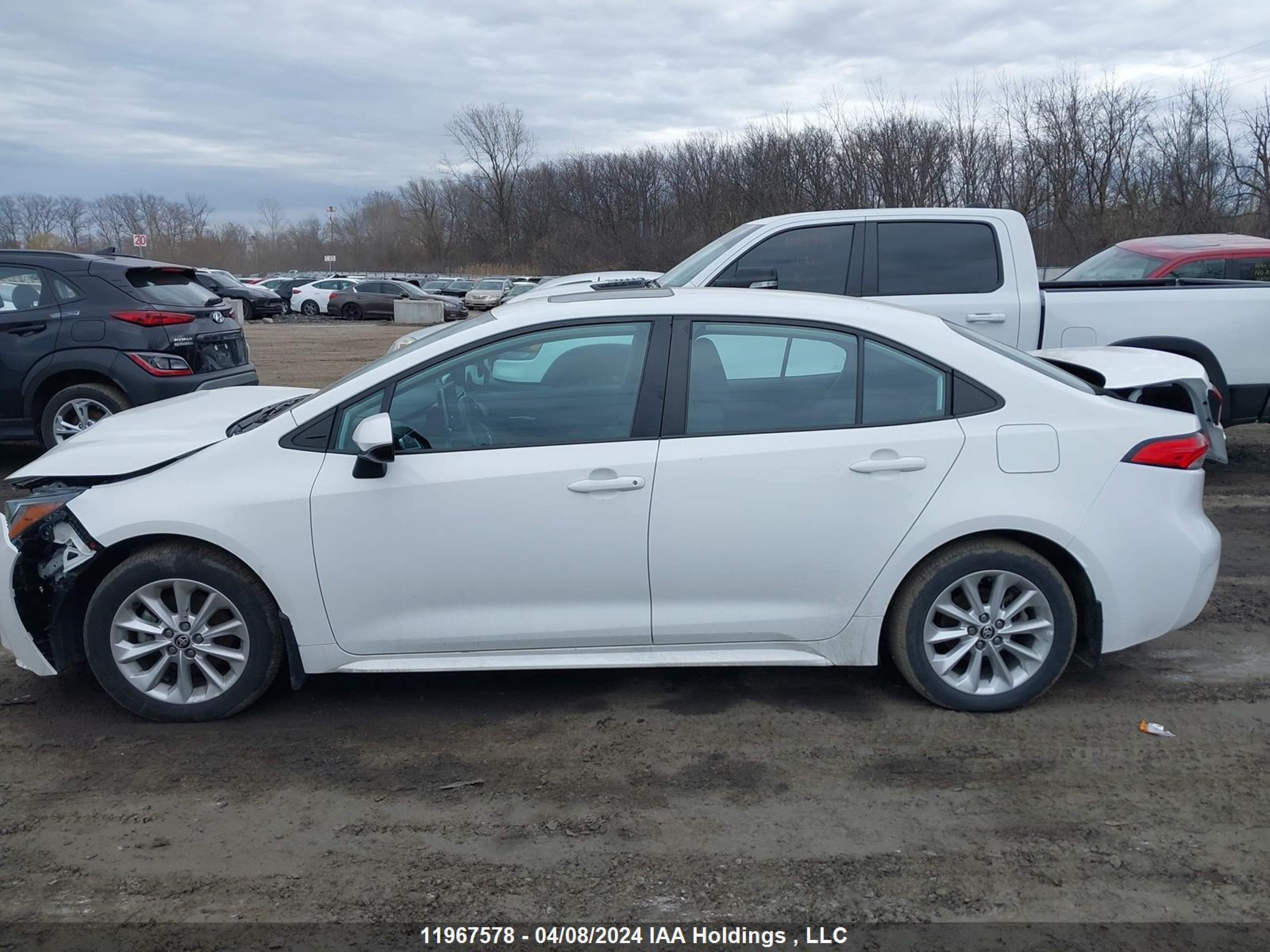 Photo 13 VIN: 5YFBPRBEXLP099356 - TOYOTA COROLLA 