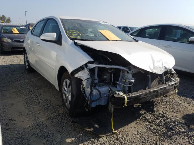 Photo 0 VIN: 5YFBPRHE0GP438798 - TOYOTA COROLLA EC 