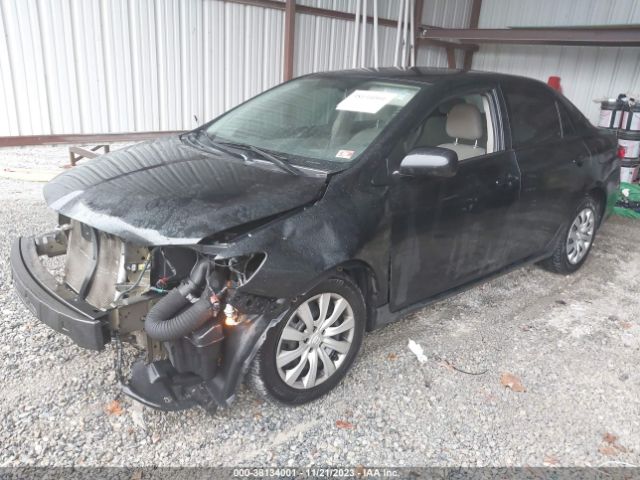 Photo 1 VIN: 5YFBU4EE3CP021413 - TOYOTA COROLLA 