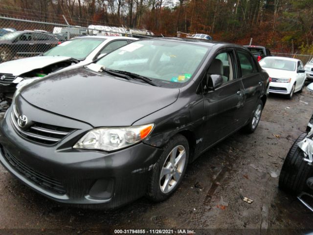 Photo 1 VIN: 5YFBU4EE5DP159715 - TOYOTA COROLLA 