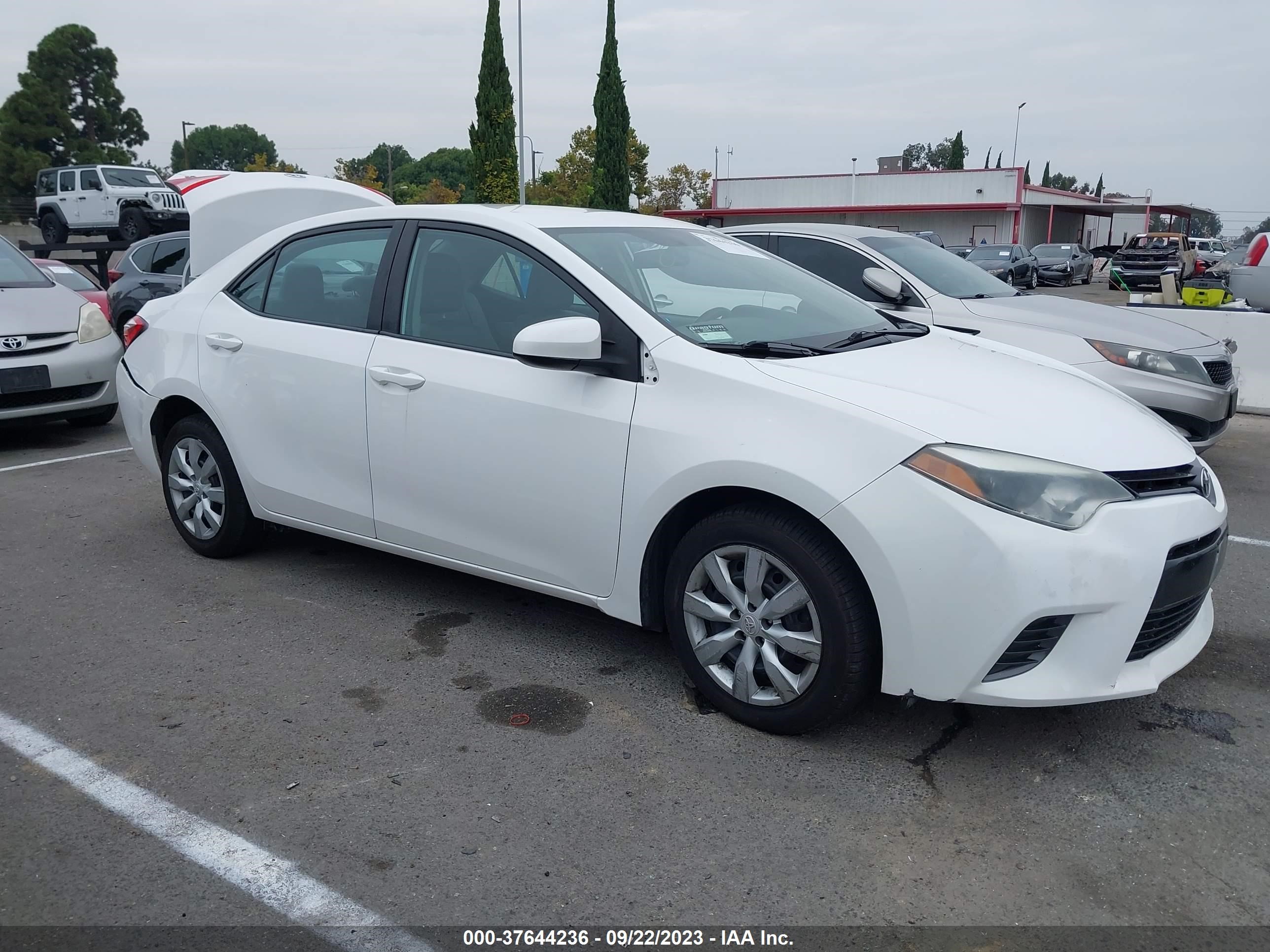 Photo 12 VIN: 5YFBURHE0GP417149 - TOYOTA COROLLA 