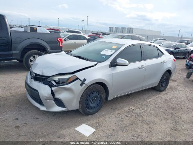 Photo 1 VIN: 5YFBURHE1EP178384 - TOYOTA COROLLA 