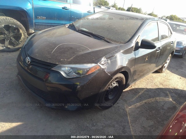 Photo 1 VIN: 5YFBURHE3GP398984 - TOYOTA COROLLA 