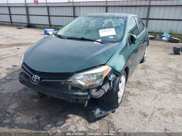 Photo 1 VIN: 5YFBURHE4EP124187 - TOYOTA COROLLA 