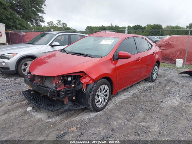 Photo 1 VIN: 5YFBURHE4KP905254 - TOYOTA COROLLA 