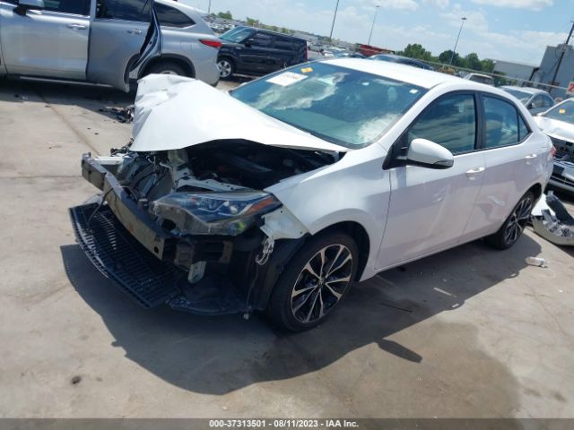 Photo 1 VIN: 5YFBURHE5KP864309 - TOYOTA COROLLA 