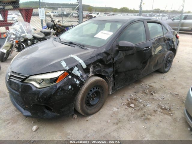 Photo 5 VIN: 5YFBURHE6GP446882 - TOYOTA COROLLA 