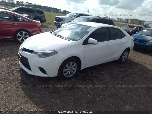 Photo 1 VIN: 5YFBURHE8EP048604 - TOYOTA COROLLA 