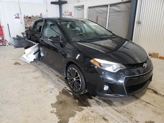 Photo 0 VIN: 5YFBURHE8GP480788 - TOYOTA COROLLA L 