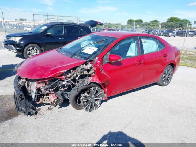 Photo 1 VIN: 5YFBURHE8KP904785 - TOYOTA COROLLA 