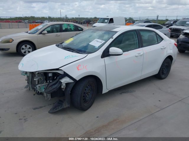 Photo 1 VIN: 5YFBURHE9EP176463 - TOYOTA COROLLA 