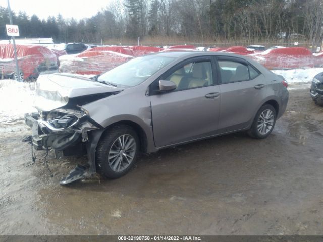 Photo 1 VIN: 5YFBURHEXEP051262 - TOYOTA COROLLA 