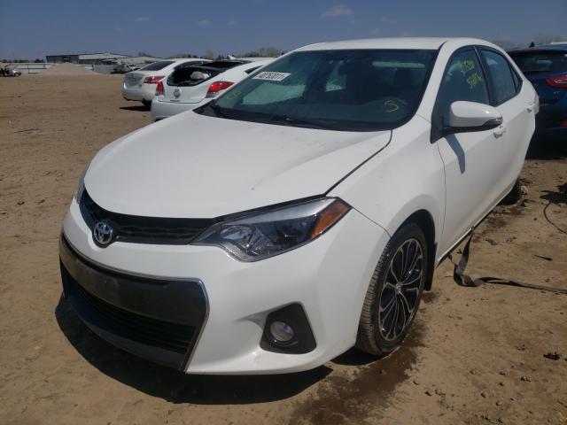 Photo 1 VIN: 5YFBURHEXGP544071 - TOYOTA COROLLA L 