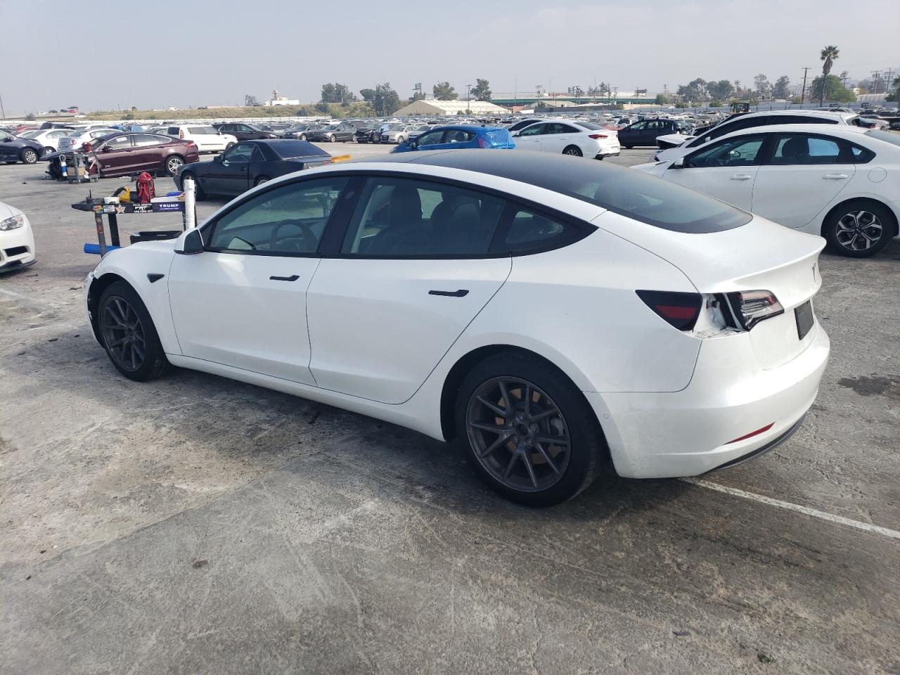 Photo 1 VIN: 5YJ3E1EA0NF117169 - TESLA MODEL 3 