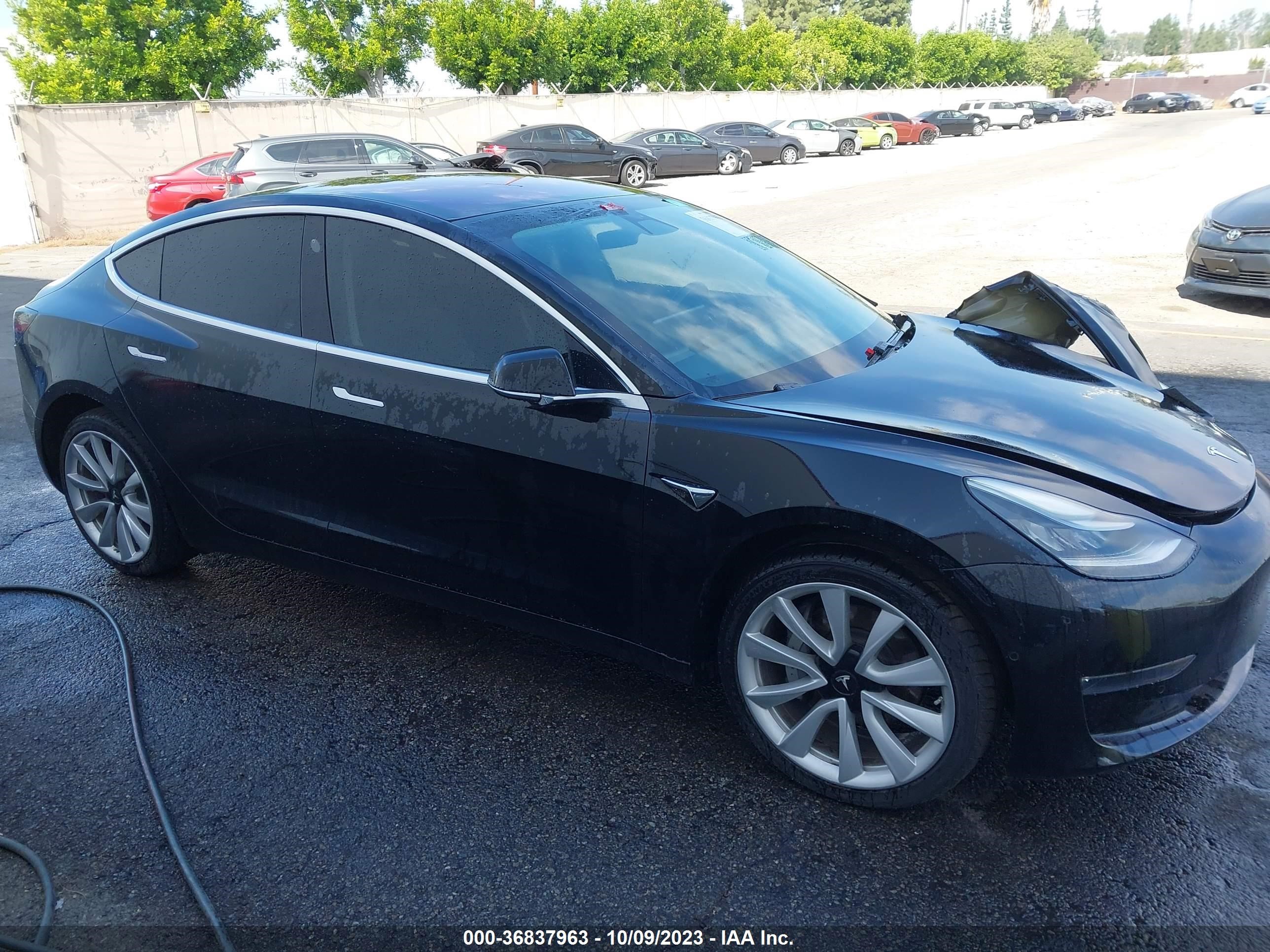 Photo 11 VIN: 5YJ3E1EA1JF013283 - TESLA MODEL 3 