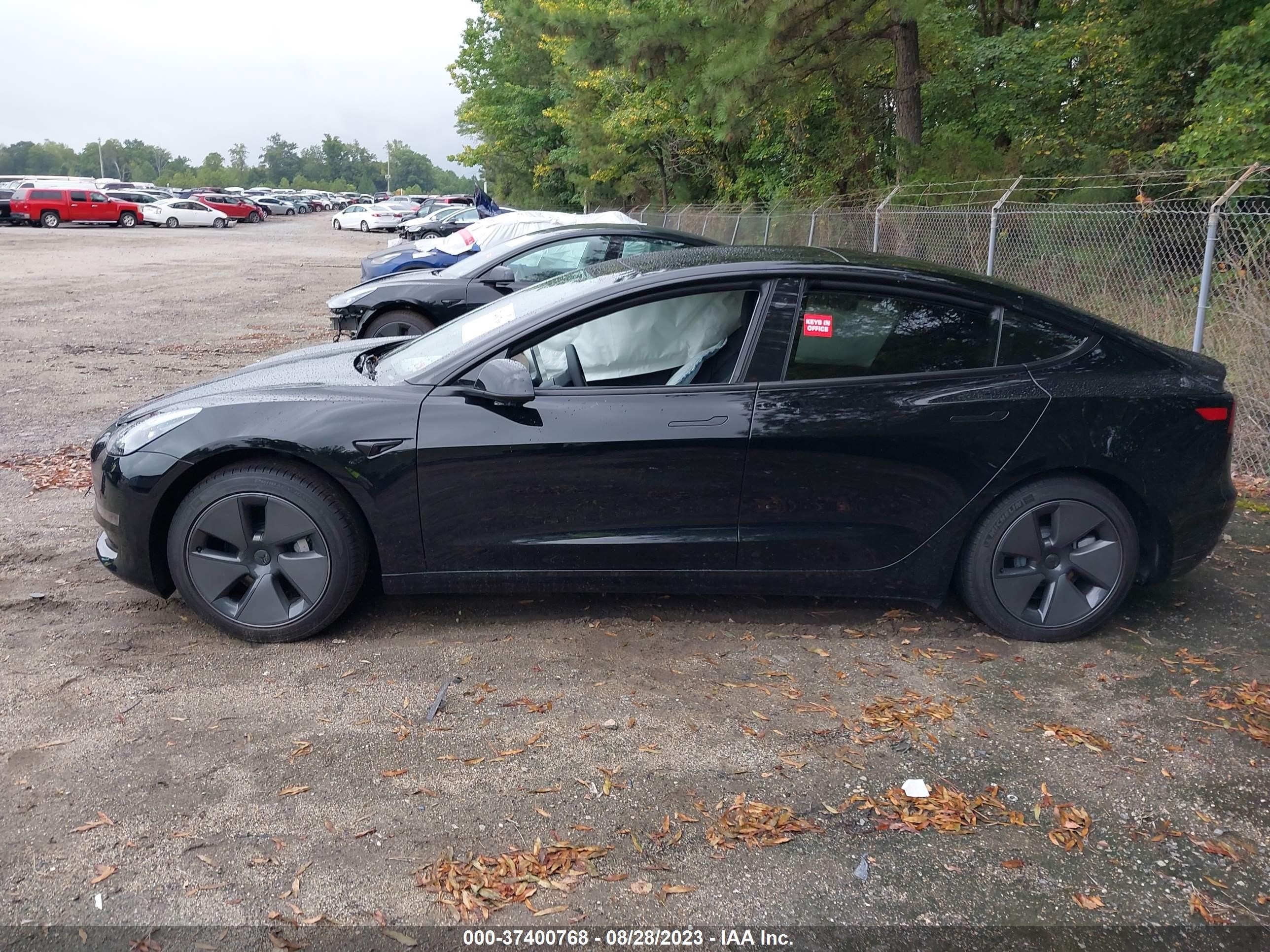 Photo 12 VIN: 5YJ3E1EA1PF554956 - TESLA MODEL 3 