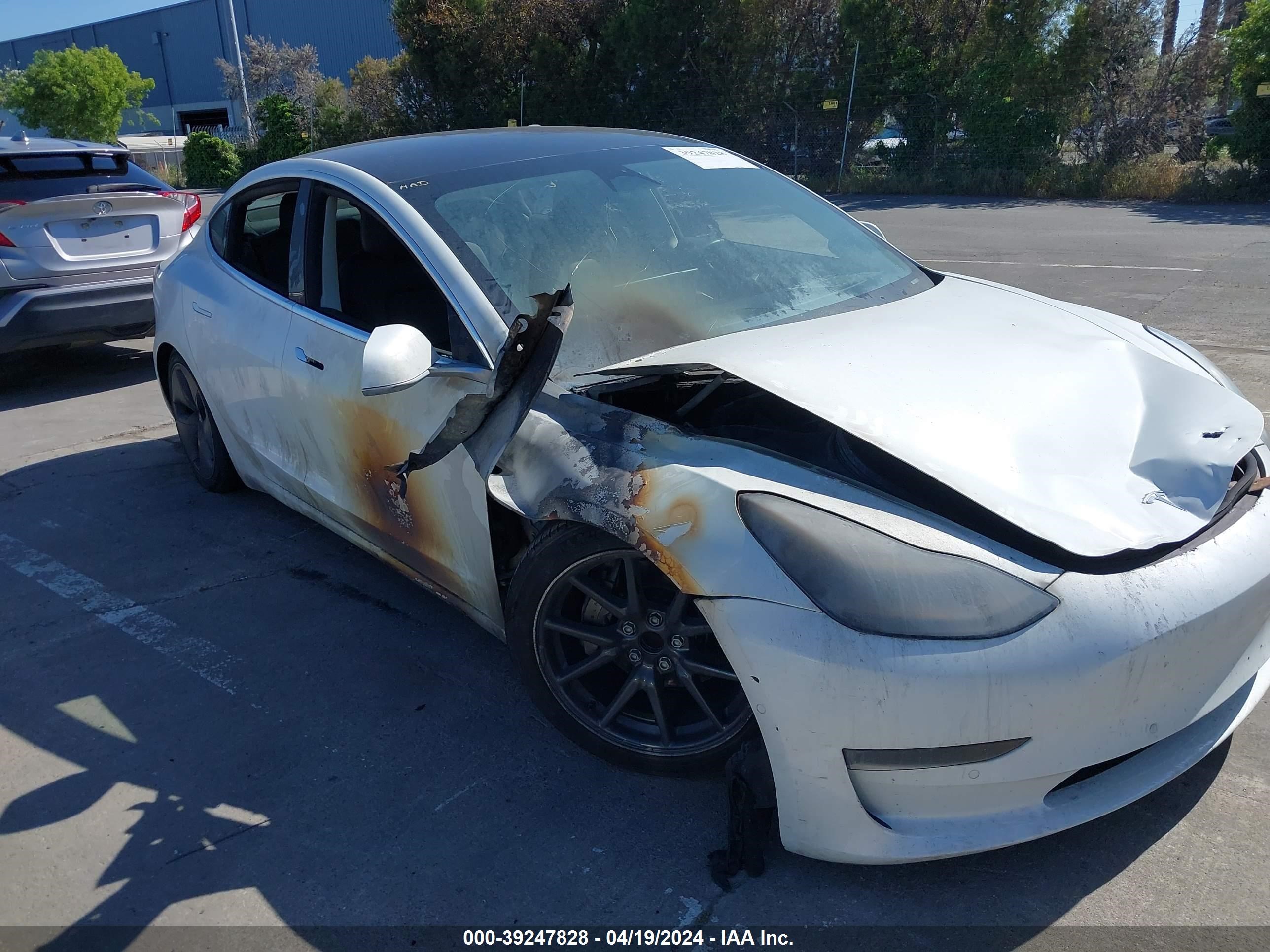 Photo 5 VIN: 5YJ3E1EA2KF484246 - TESLA MODEL 3 