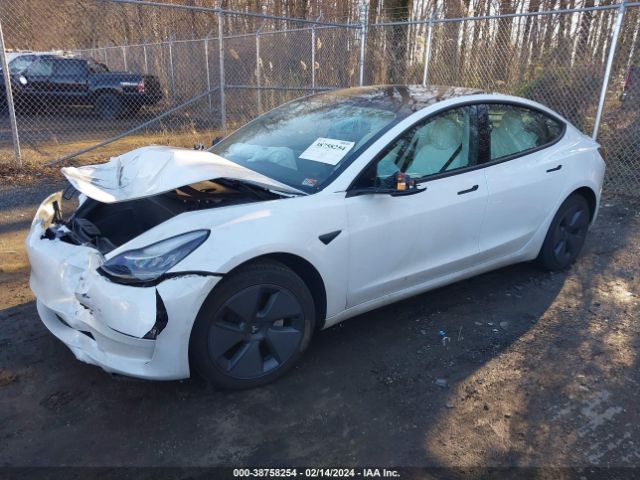 Photo 1 VIN: 5YJ3E1EA2LF797864 - TESLA MODEL 3 