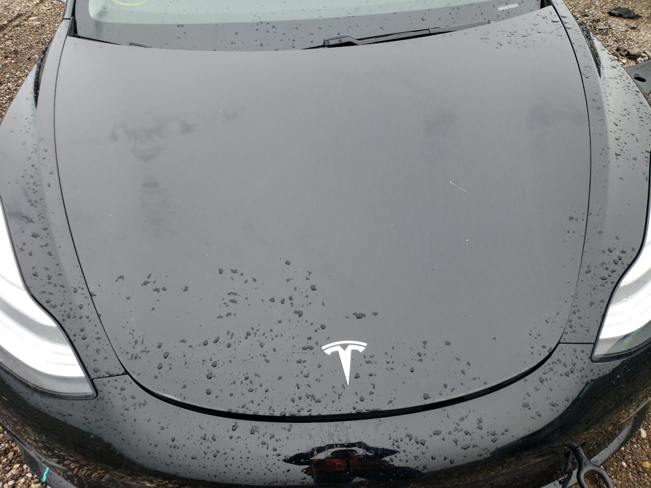 Photo 10 VIN: 5YJ3E1EA3KF296738 - TESLA MODEL 3 