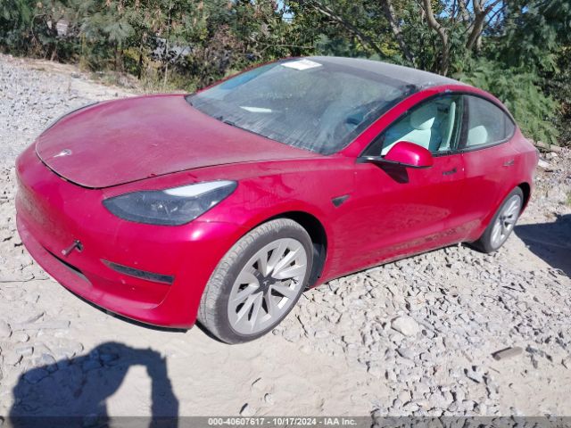 Photo 1 VIN: 5YJ3E1EA3MF047830 - TESLA MODEL 3 