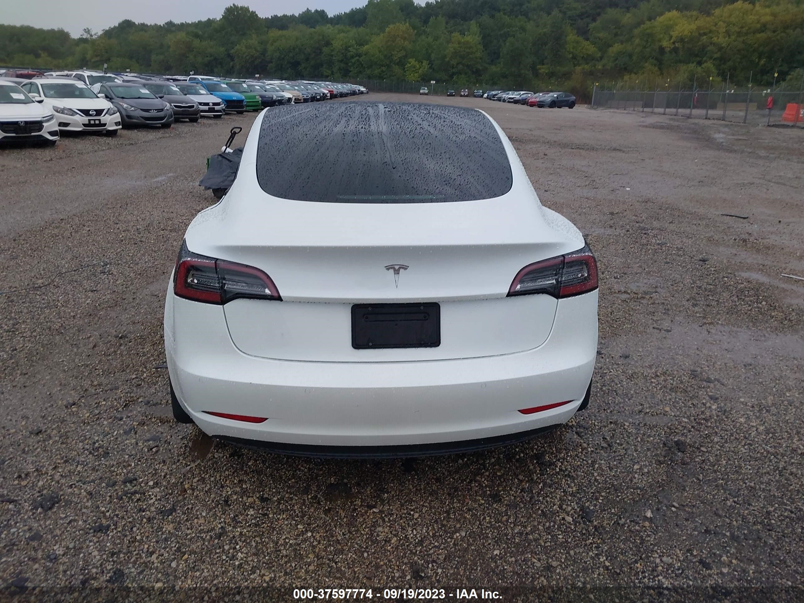 Photo 13 VIN: 5YJ3E1EA3MF915213 - TESLA MODEL 3 