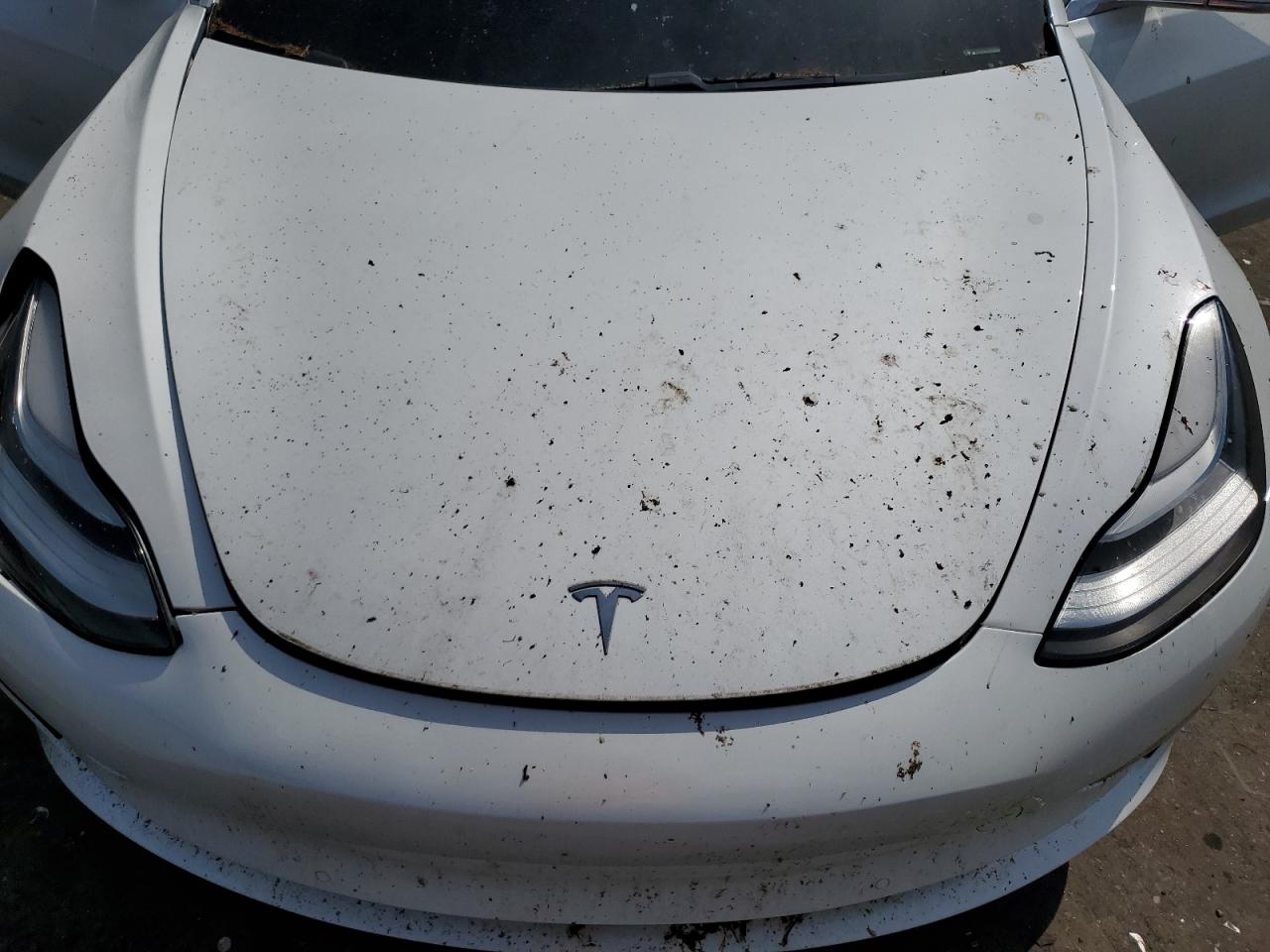 Photo 10 VIN: 5YJ3E1EA4LF635007 - TESLA MODEL 3 