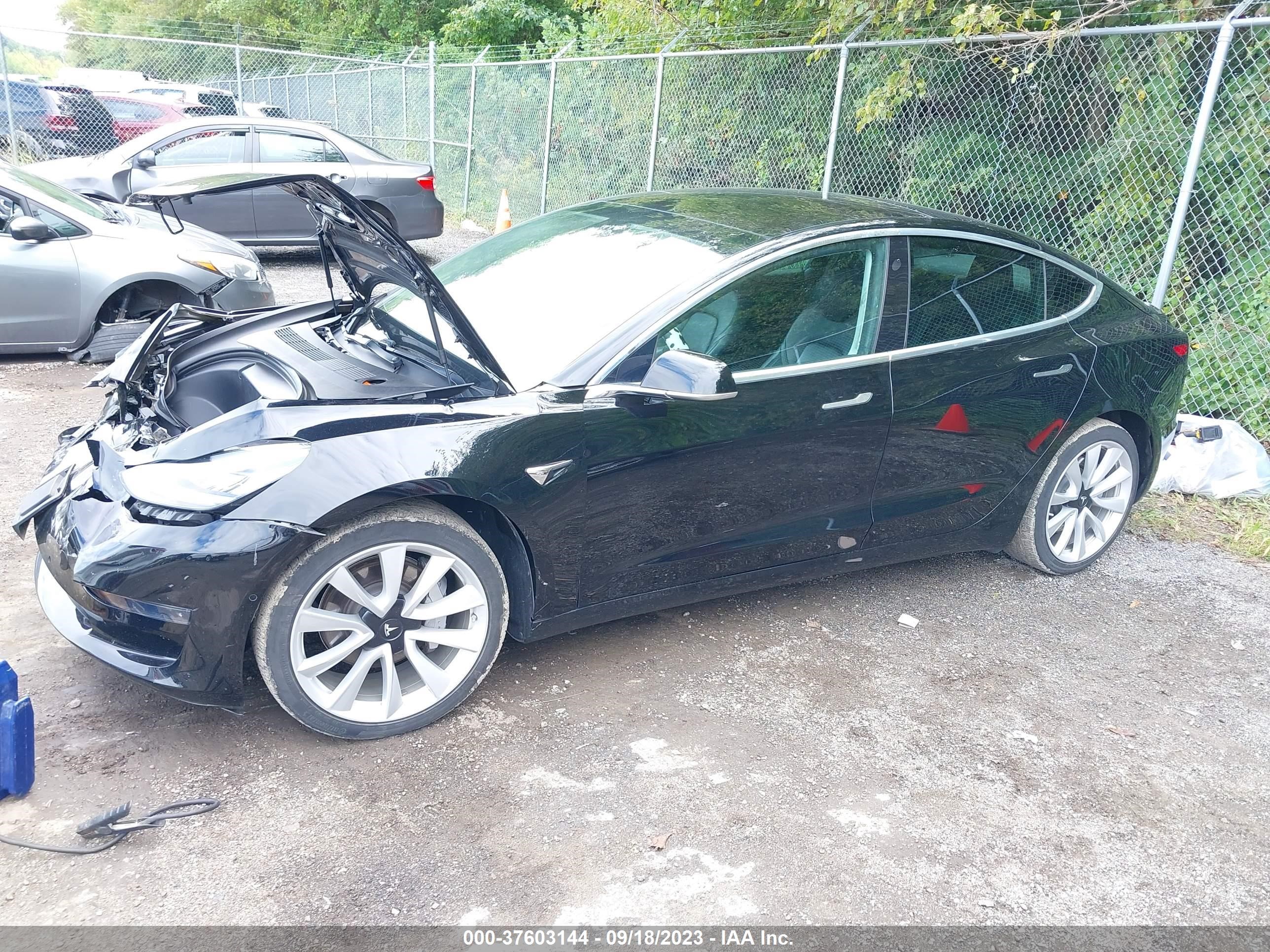 Photo 1 VIN: 5YJ3E1EA5LF447225 - TESLA MODEL 3 