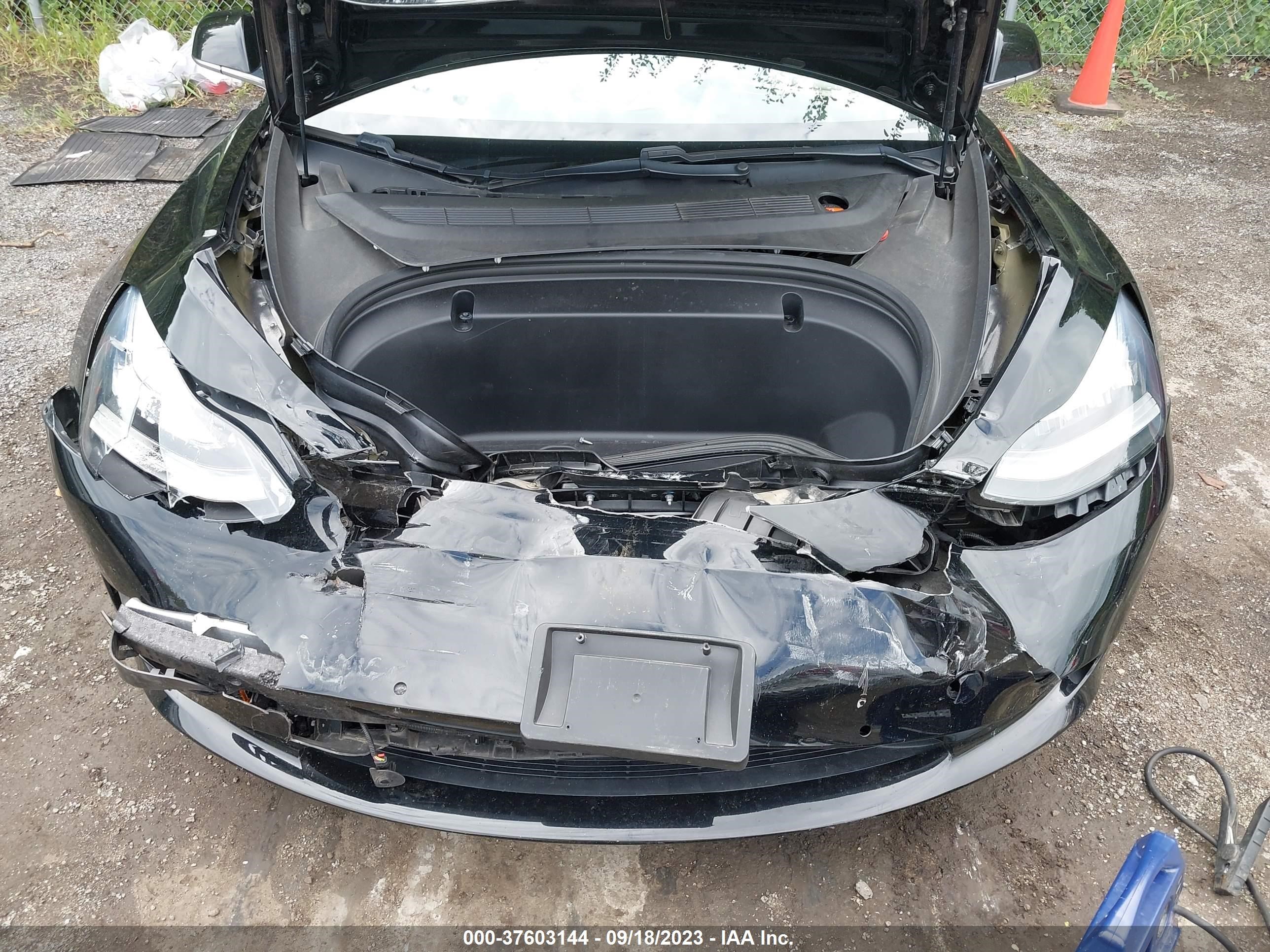 Photo 11 VIN: 5YJ3E1EA5LF447225 - TESLA MODEL 3 