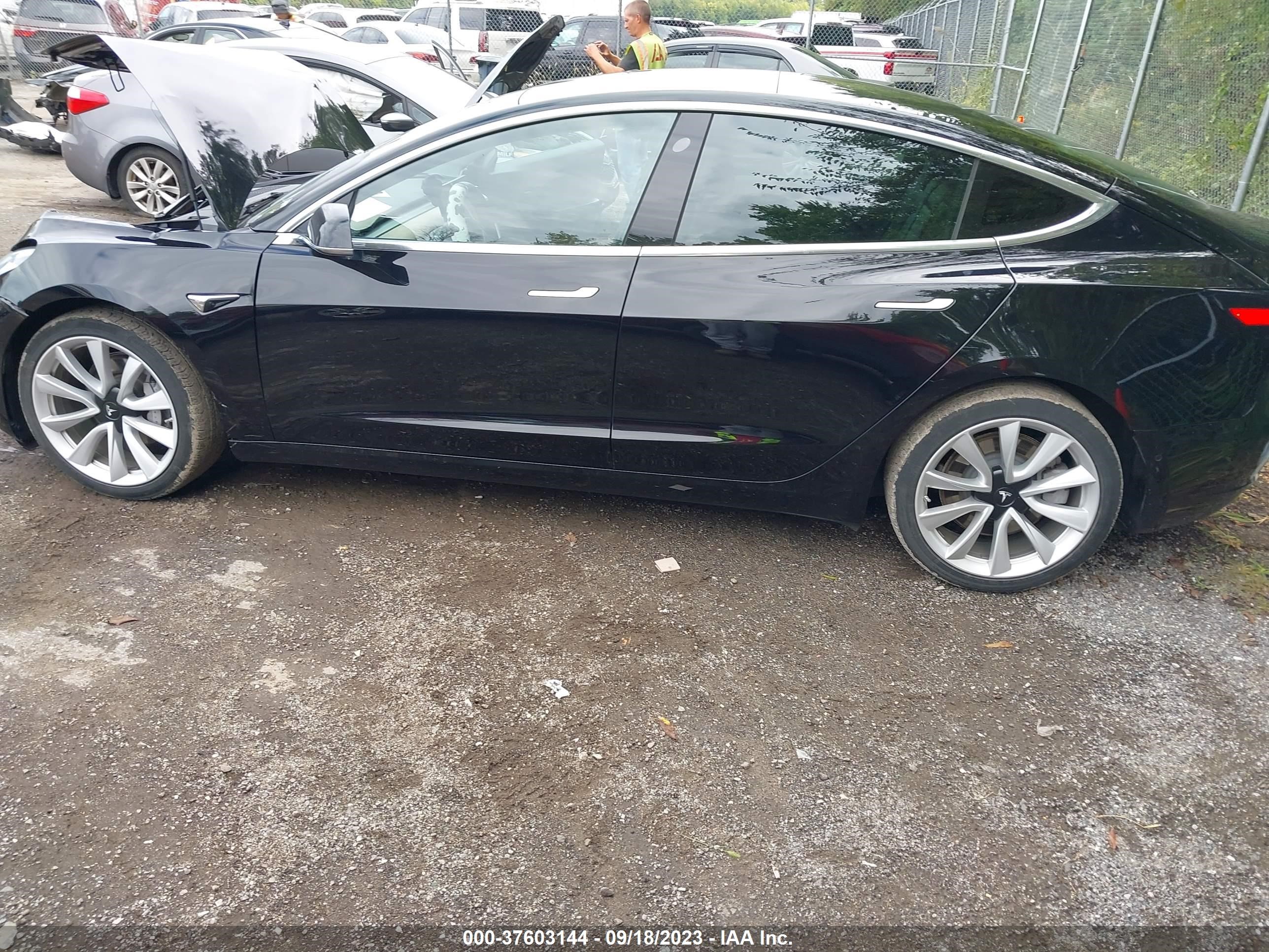 Photo 13 VIN: 5YJ3E1EA5LF447225 - TESLA MODEL 3 