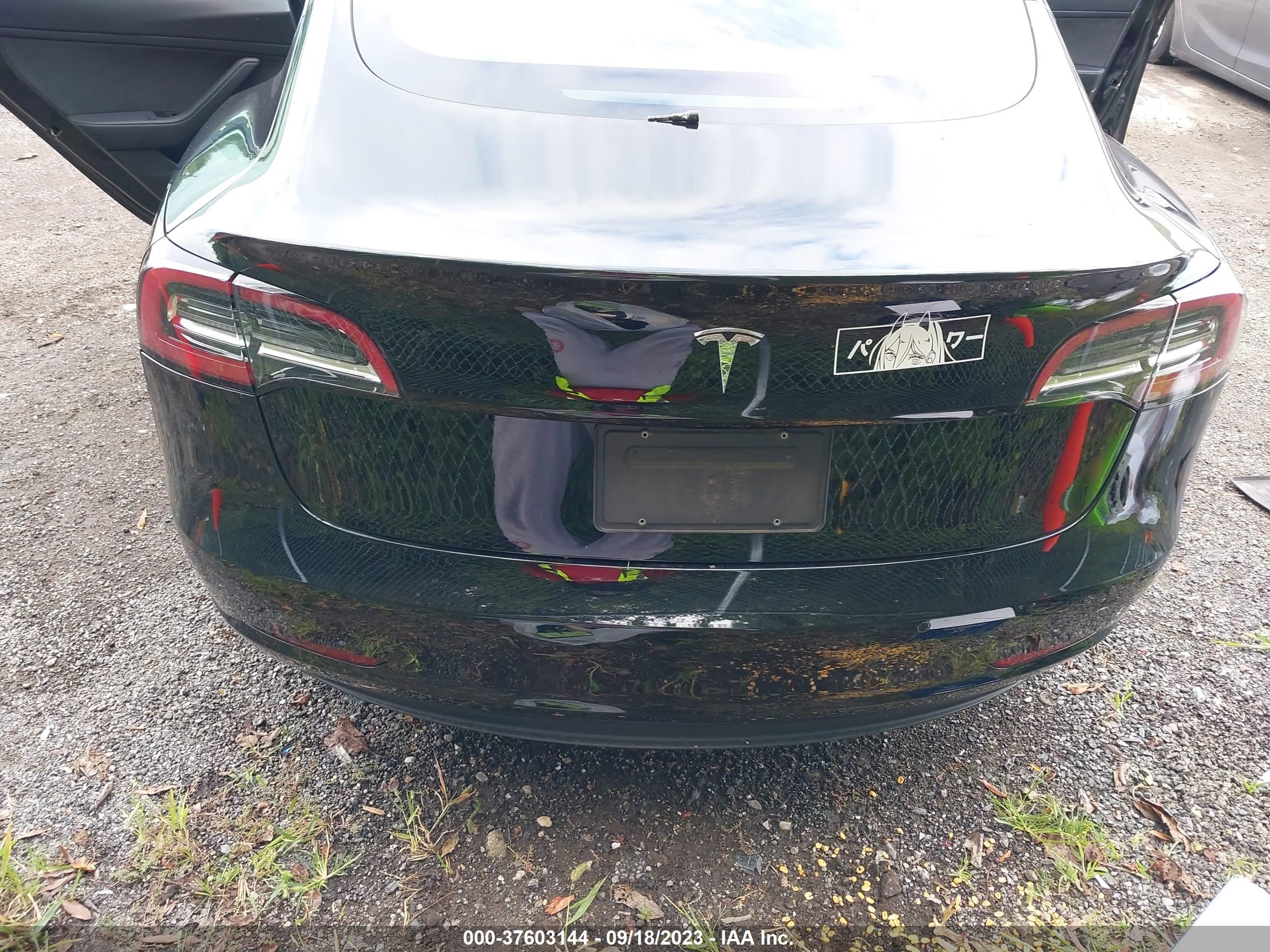 Photo 15 VIN: 5YJ3E1EA5LF447225 - TESLA MODEL 3 