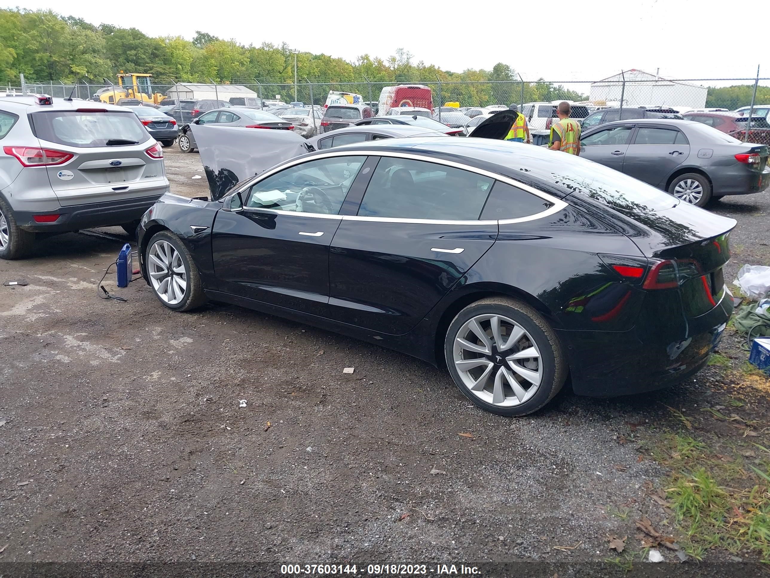 Photo 2 VIN: 5YJ3E1EA5LF447225 - TESLA MODEL 3 