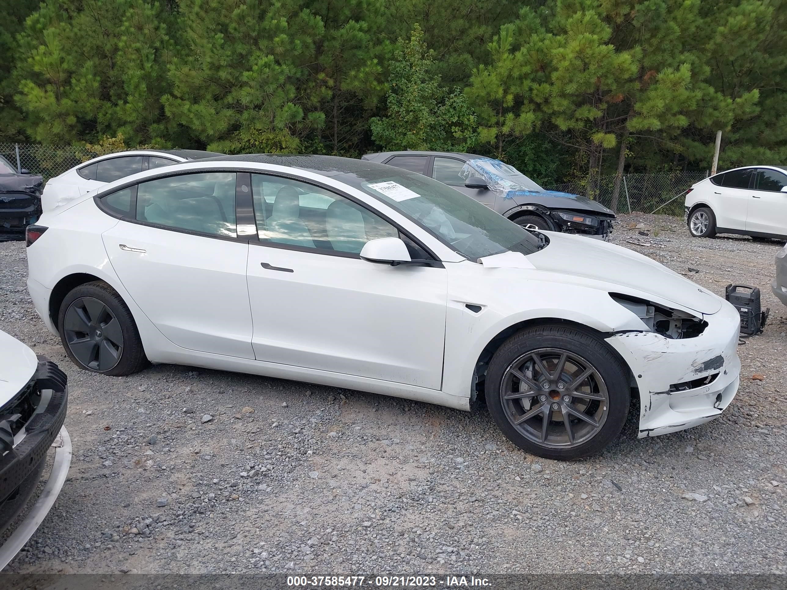 Photo 11 VIN: 5YJ3E1EA5MF987580 - TESLA MODEL 3 