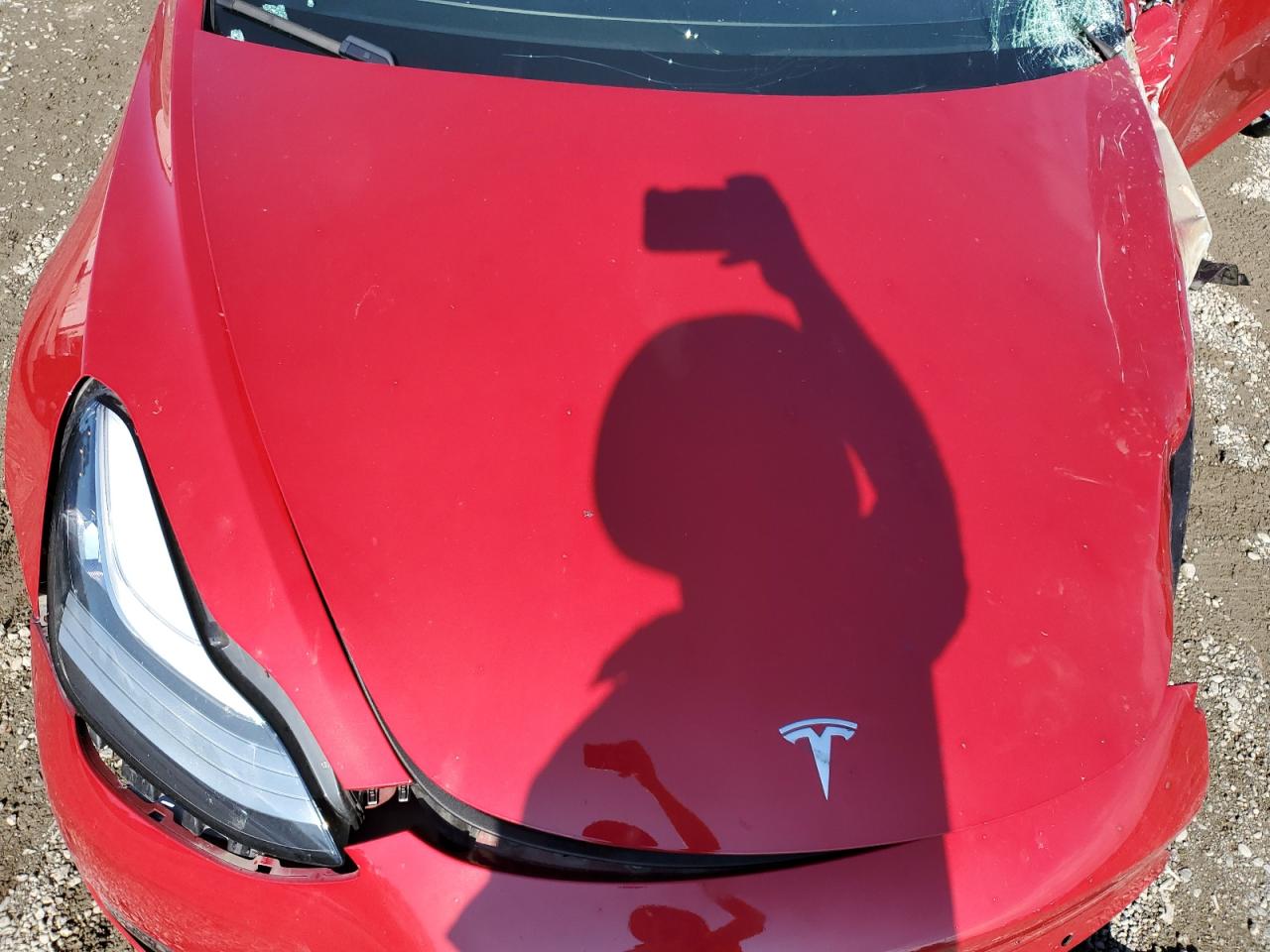 Photo 10 VIN: 5YJ3E1EA7JF126204 - TESLA MODEL 3 