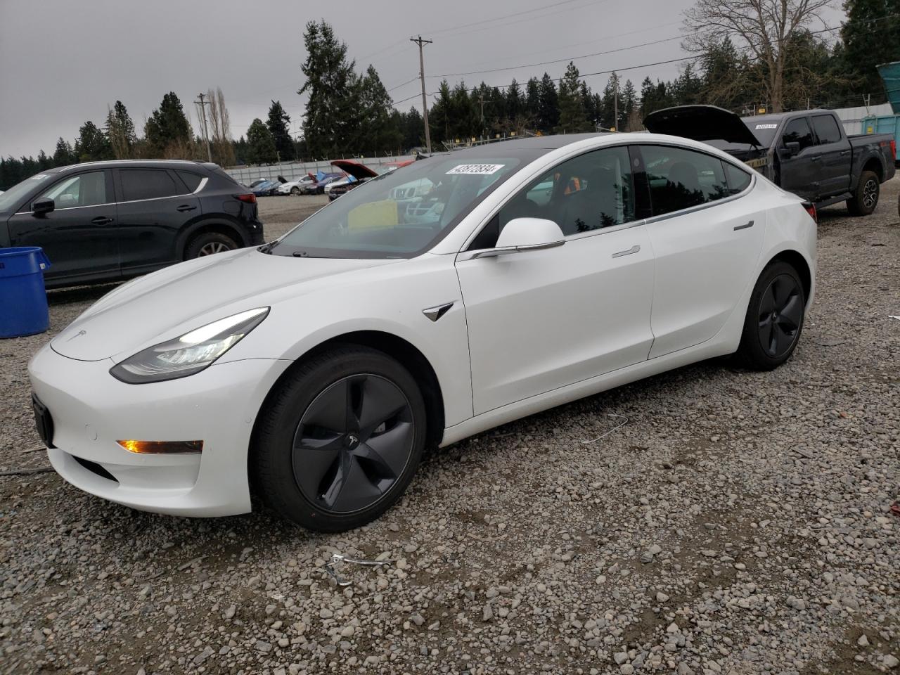 Photo 0 VIN: 5YJ3E1EA7LF597773 - TESLA MODEL 3 