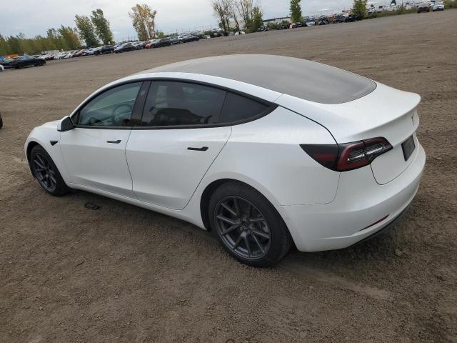 Photo 1 VIN: 5YJ3E1EA7MF031002 - TESLA MODEL 3 