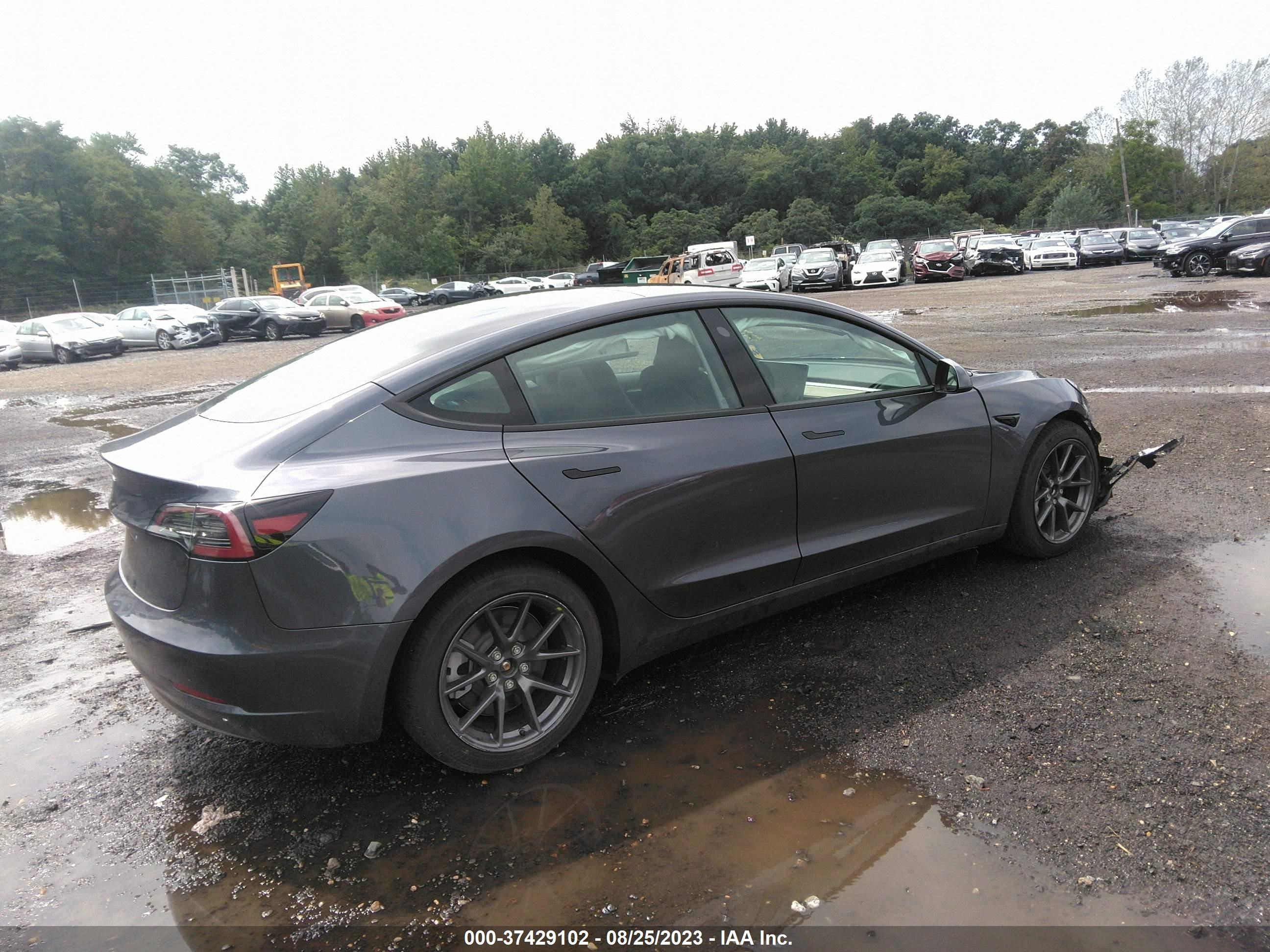 Photo 3 VIN: 5YJ3E1EA7PF555593 - TESLA MODEL 3 