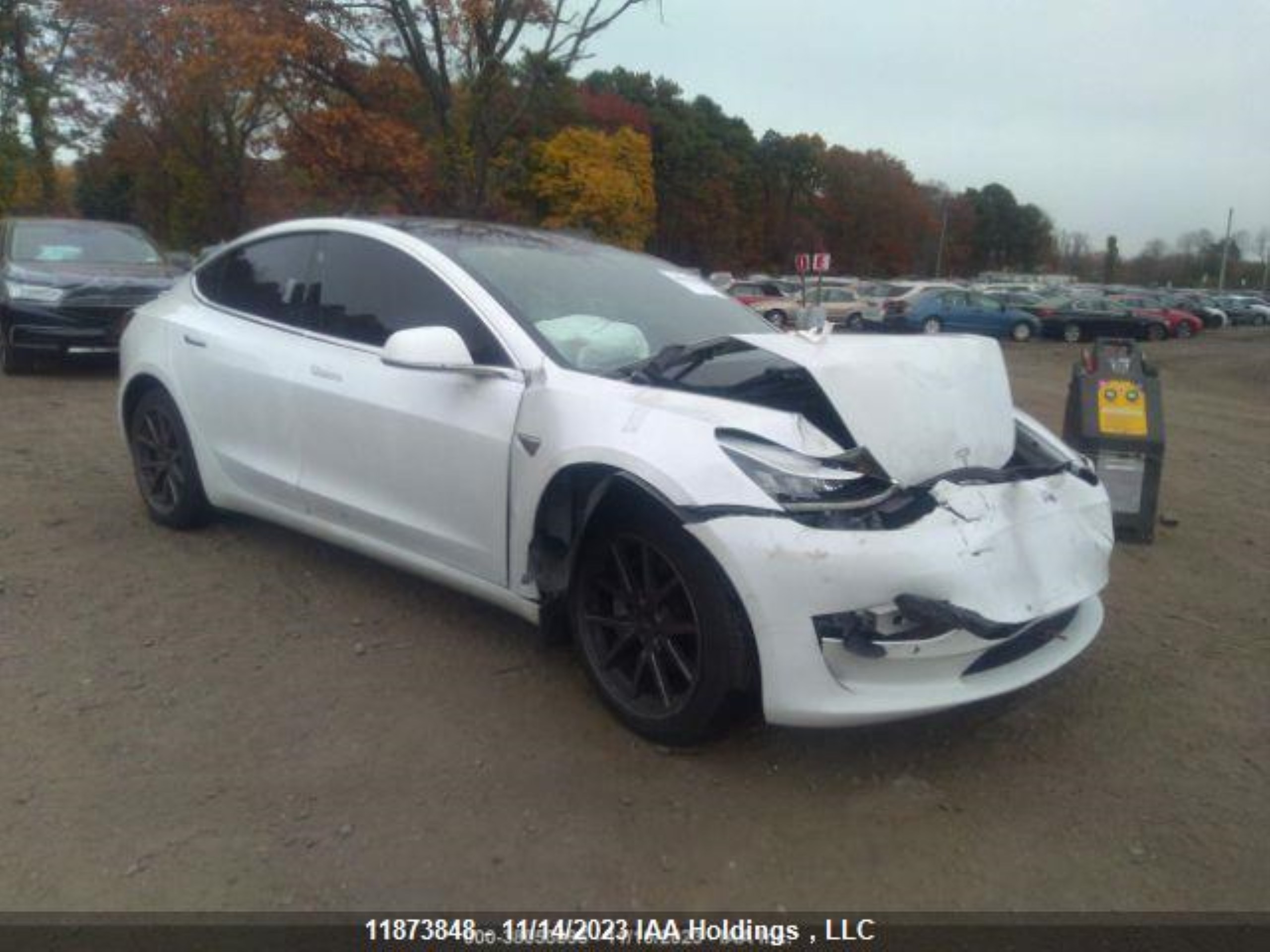 Photo 1 VIN: 5YJ3E1EA8LF715569 - TESLA MODEL 3 