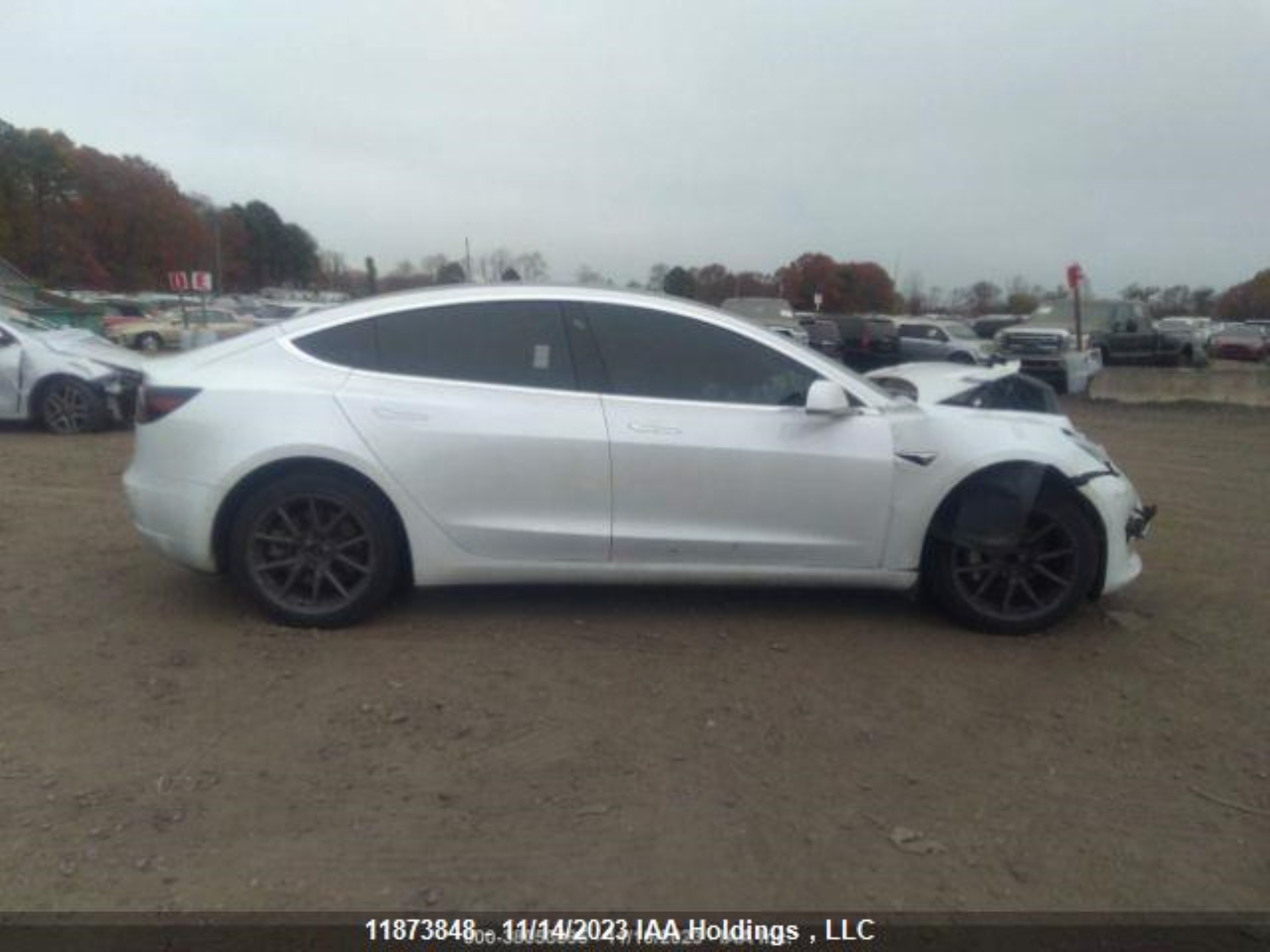 Photo 14 VIN: 5YJ3E1EA8LF715569 - TESLA MODEL 3 