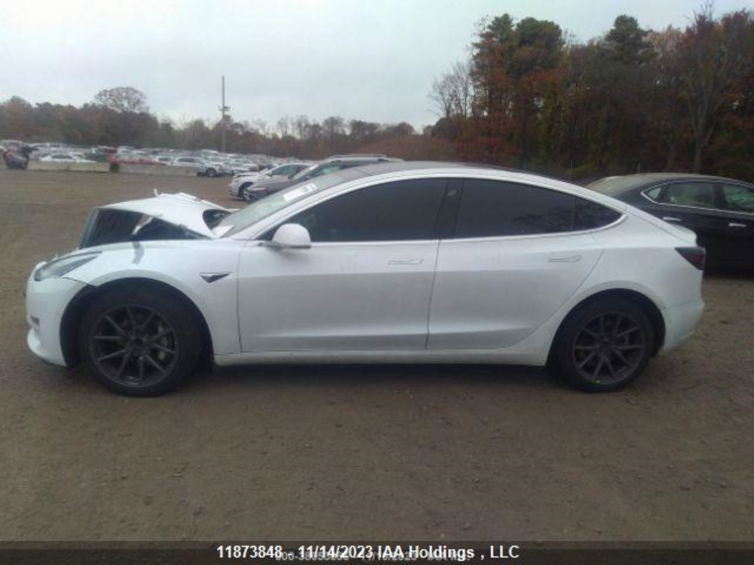 Photo 15 VIN: 5YJ3E1EA8LF715569 - TESLA MODEL 3 