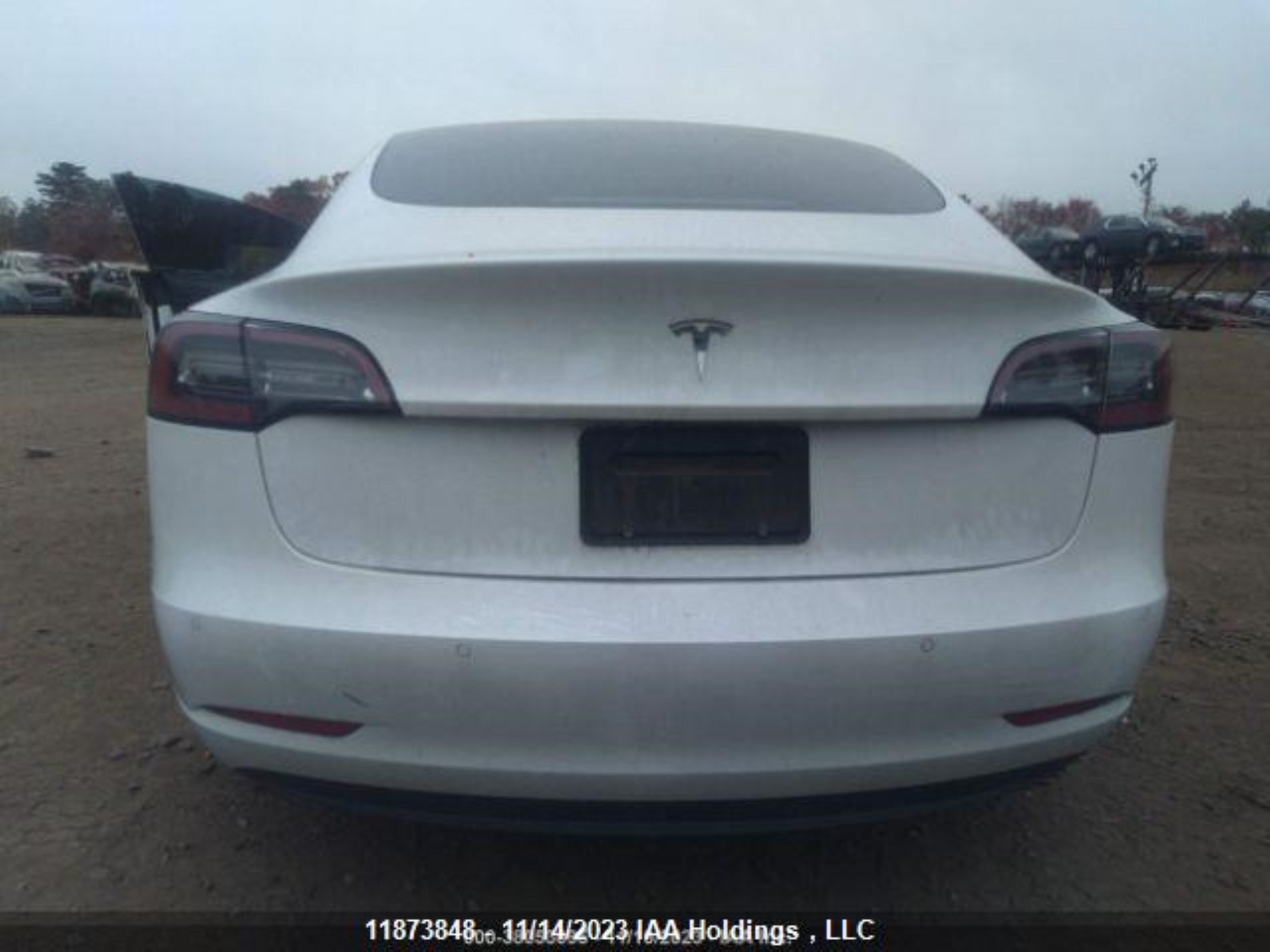 Photo 17 VIN: 5YJ3E1EA8LF715569 - TESLA MODEL 3 