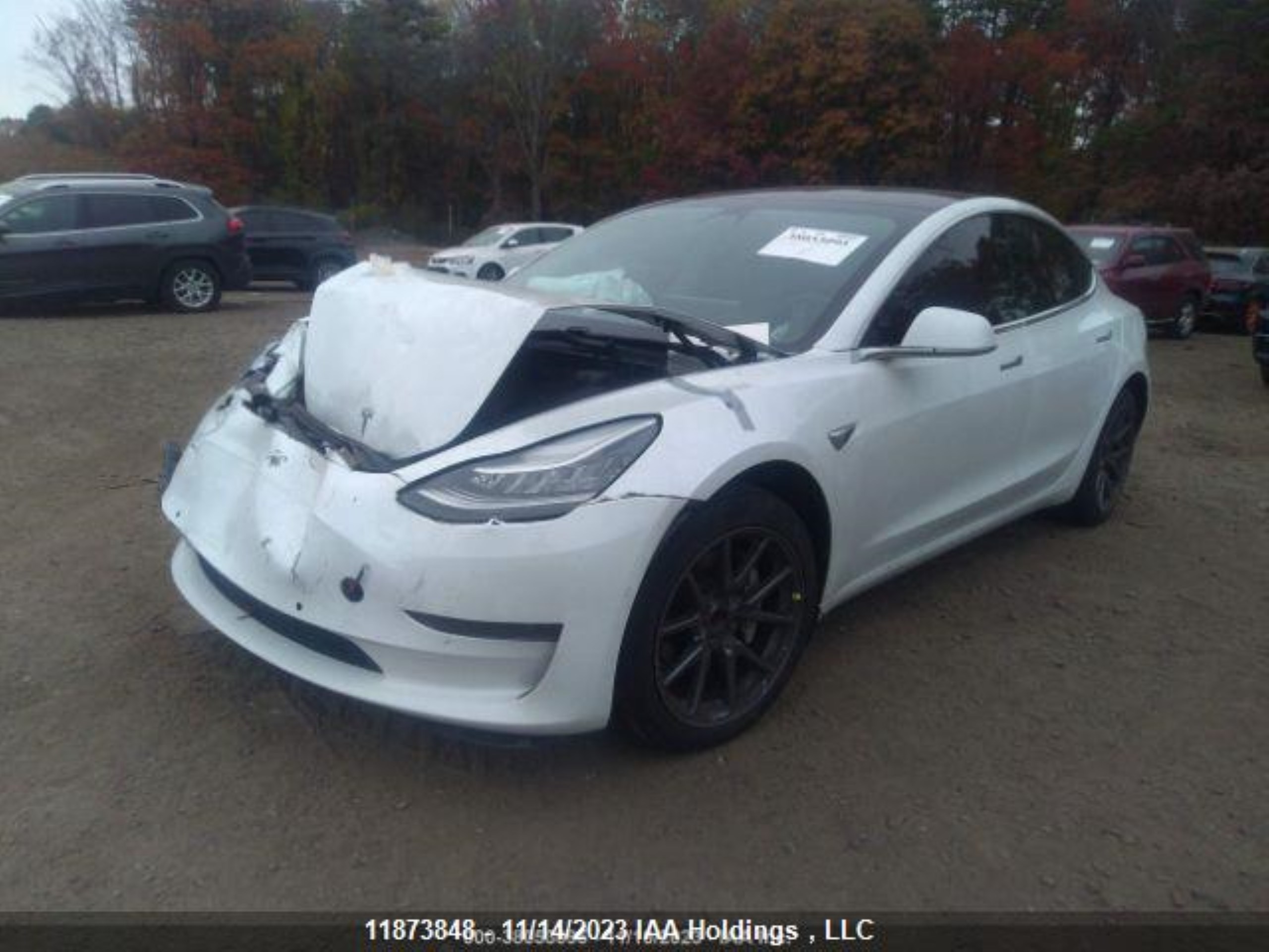 Photo 3 VIN: 5YJ3E1EA8LF715569 - TESLA MODEL 3 